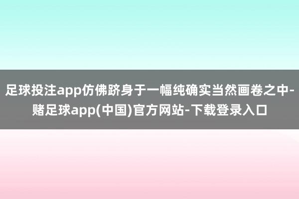 足球投注app仿佛跻身于一幅纯确实当然画卷之中-赌足球app(中国)官方网站-下载登录入口