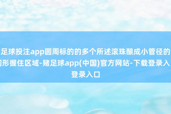 足球投注app圆周标的的多个所述滚珠酿成小管径的圆形握住区域-赌足球app(中国)官方网站-下载登录入口