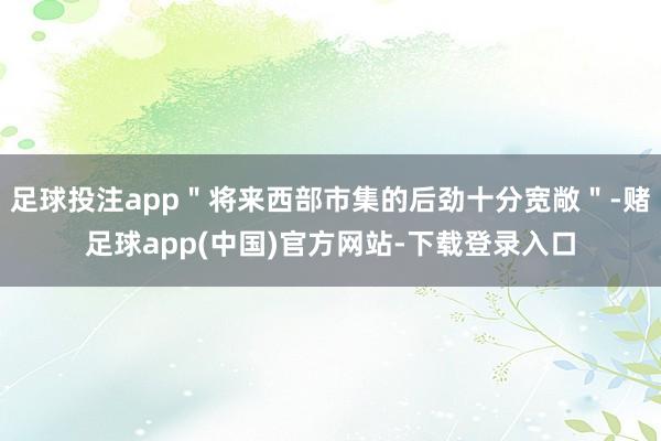 足球投注app"将来西部市集的后劲十分宽敞"-赌足球app(中国)官方网站-下载登录入口