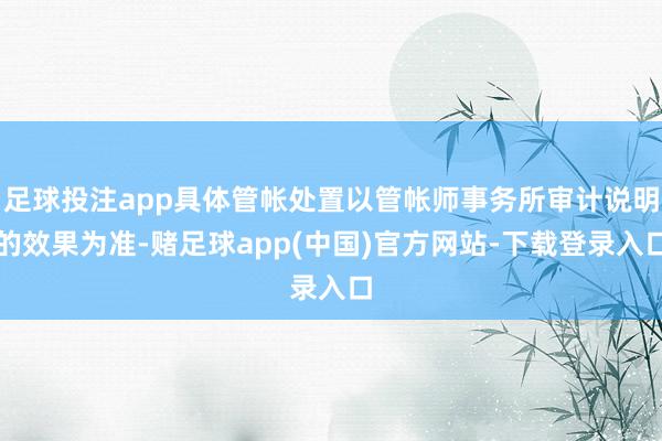 足球投注app具体管帐处置以管帐师事务所审计说明的效果为准-赌足球app(中国)官方网站-下载登录入口