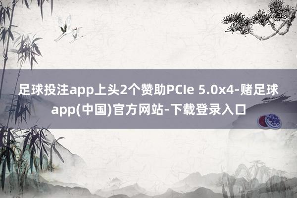 足球投注app上头2个赞助PCIe 5.0x4-赌足球app(中国)官方网站-下载登录入口