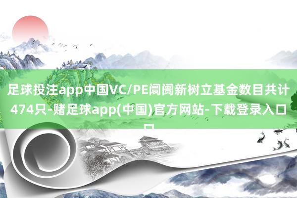 足球投注app中国VC/PE阛阓新树立基金数目共计474只-赌足球app(中国)官方网站-下载登录入口