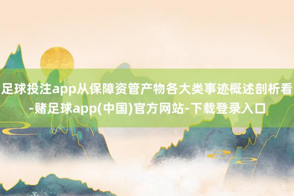 足球投注app从保障资管产物各大类事迹概述剖析看-赌足球app(中国)官方网站-下载登录入口