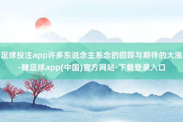 足球投注app许多东说念主系念的回踩与期待的大涨-赌足球app(中国)官方网站-下载登录入口