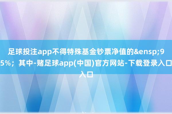 足球投注app不得特殊基金钞票净值的&ensp;95%；其中-赌足球app(中国)官方网站-下载登录入口
