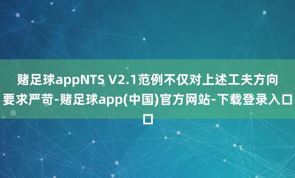 赌足球appNTS V2.1范例不仅对上述工夫方向要求严苛-赌足球app(中国)官方网站-下载登录入口