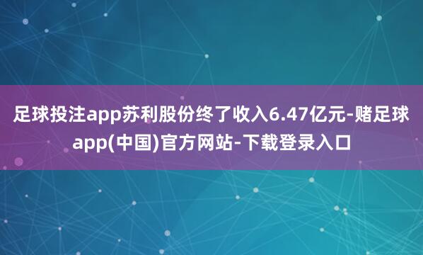 足球投注app苏利股份终了收入6.47亿元-赌足球app(中国)官方网站-下载登录入口